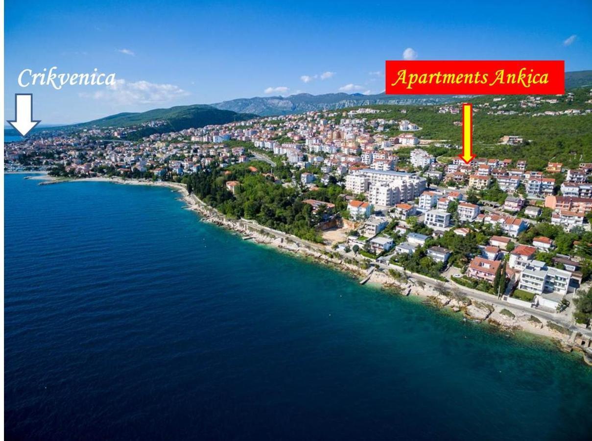 Family Ankica Crikvenica
